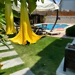 Pupa Alacati Butik * Кешме