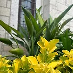 Pupa Alacati Butik Отель Кешме