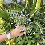 Pupa Alacati Butik * Кешме