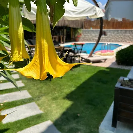 Pupa Alacati Butik * Cesme