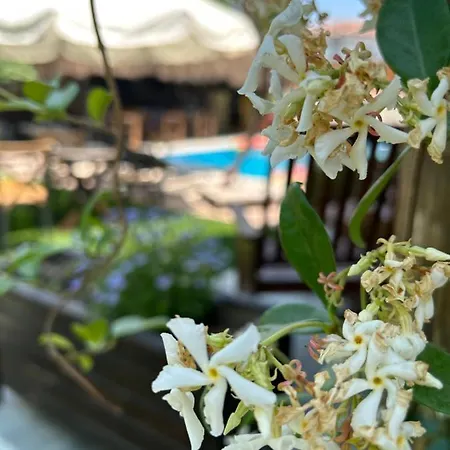 Hotel Pupa Alacati Butik Cesme