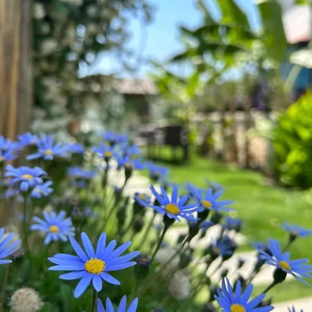 Pupa Alacati Butik Cesme