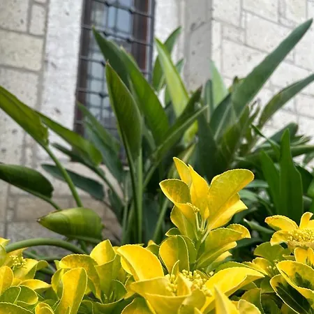 Pupa Alaçatı Butik Otel Çeşme