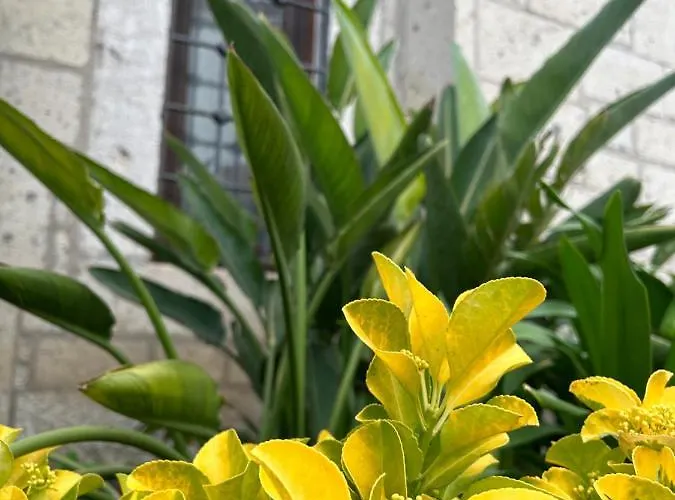 Pupa Alacati Butik Hotel Çeşme