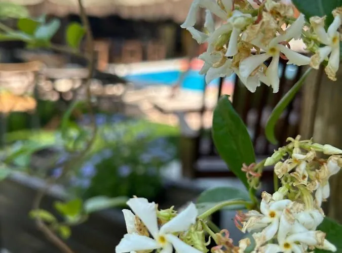 Hotel Pupa Alacati Butik Çeşme