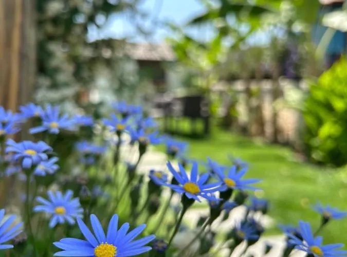 Pupa Alacati Butik Çeşme