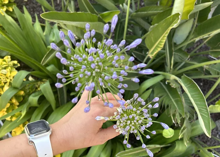 Pupa Alacati Butik * Çeşme